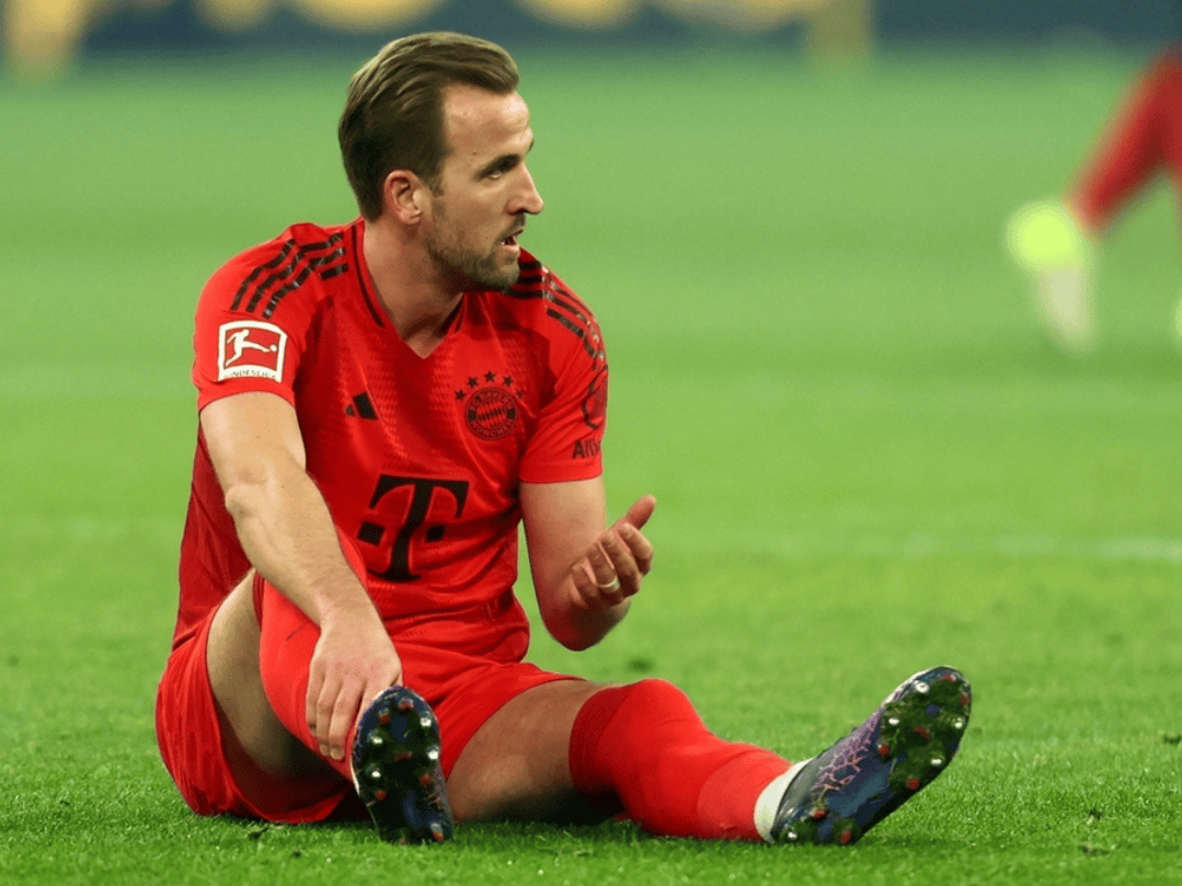 乐鱼体育-赛地是哪个国家的钱